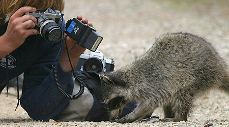 Photography Class 